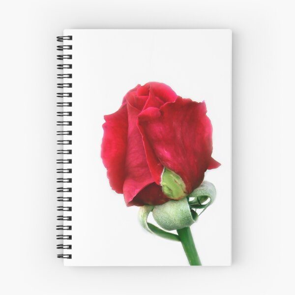 Item preview, Red Rosebud designed and sold by heatherfriedman.