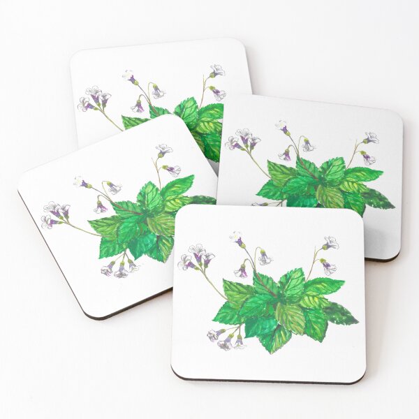 Item preview, Haberlea rhodopensis designed and sold by BuyThisTwice.