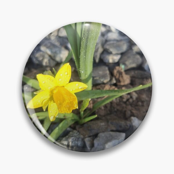 Item preview, Bright Yellow Daffodil Flower Painting designed and sold by SofiaByCruti.