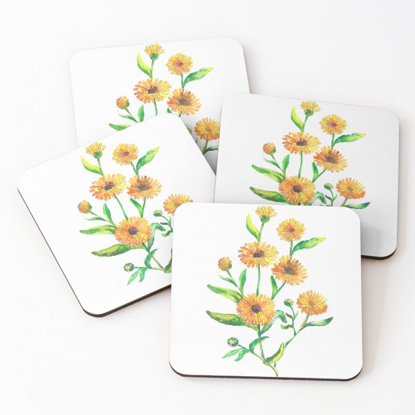 Item preview, Calendula officinalis designed and sold by BuyThisTwice.