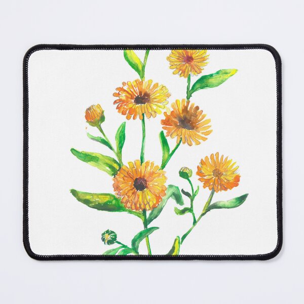 Item preview, Calendula officinalis designed and sold by BuyThisTwice.