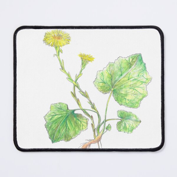 Item preview, Tussilago farfara designed and sold by BuyThisTwice.