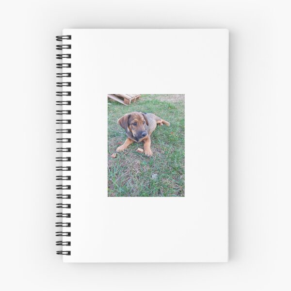 Item preview, ​Curious Puppy Garden Moment  designed and sold by SofiaByCruti.