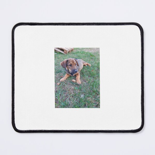 Item preview, Curious Puppy Garden Moment designed and sold by SofiaByCruti.