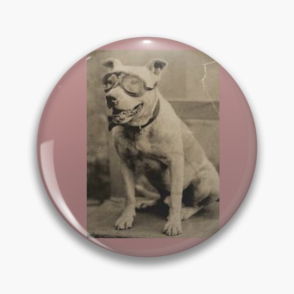 Item preview, Vintage Pitbull designed and sold by PITBULLEE.