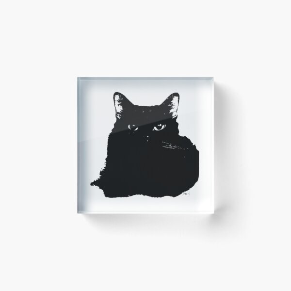 Item preview, Intimidating Fluffy Black Cat designed and sold by artxsian.
