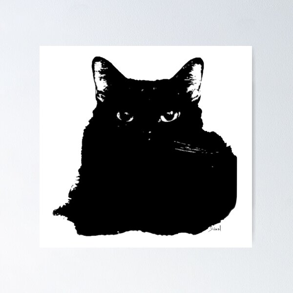 Item preview, Intimidating Fluffy Black Cat designed and sold by artxsian.