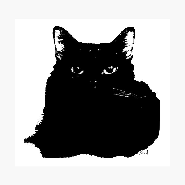 Item preview, Intimidating Fluffy Black Cat designed and sold by artxsian.
