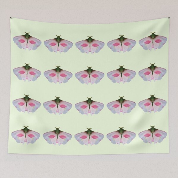 Item preview, Butterfly-shaped hibiscus flowers, photo illustration designed and sold by lyloubeaupere.