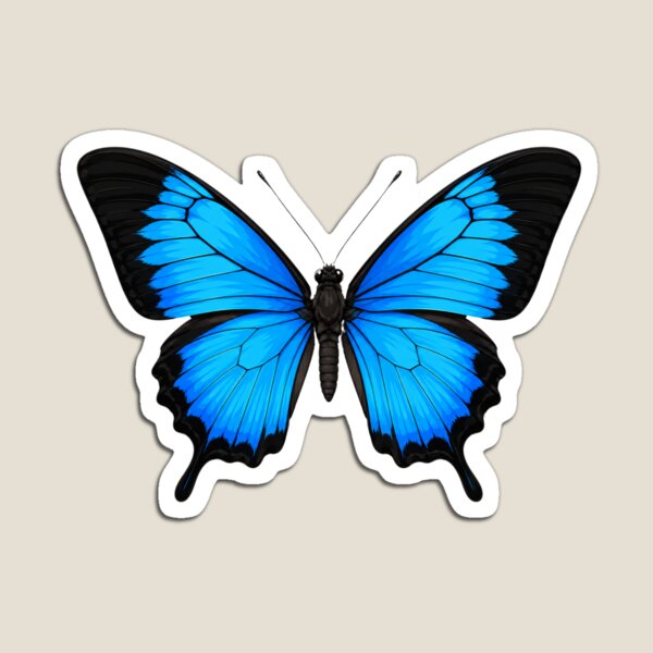 Item preview, Ulysses Butterfly Papilio ulysses Realistic Style designed and sold by Harpagann.