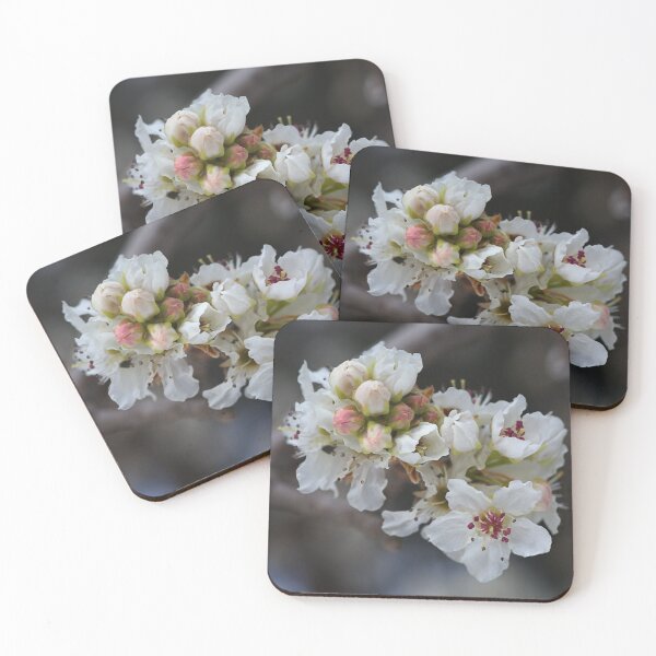 Item preview, Blossom Is New Life designed and sold by Joy Watson - Natural Light Photography .