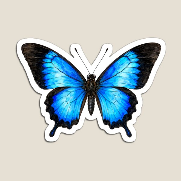 Item preview, Ulysses Butterfly Papilio ulysses Watercolor Style designed and sold by Harpagann.