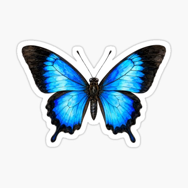 Item preview, Ulysses Butterfly Papilio ulysses Watercolor Style designed and sold by Harpagann.