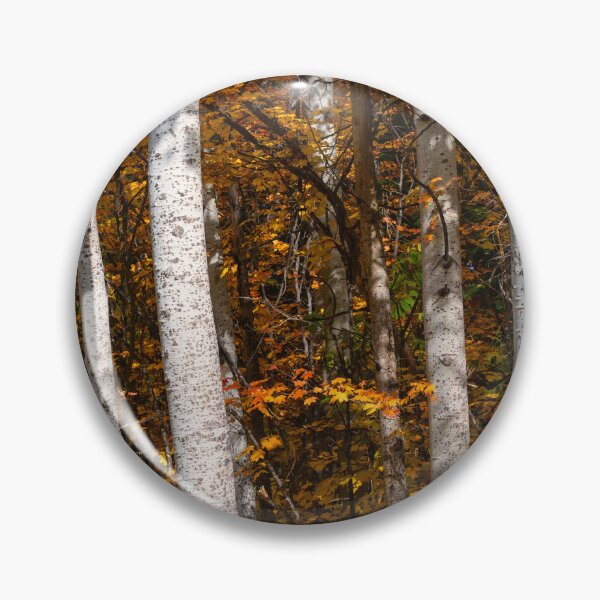 Item preview, The Colors of Autumn designed and sold by DawsonImages.