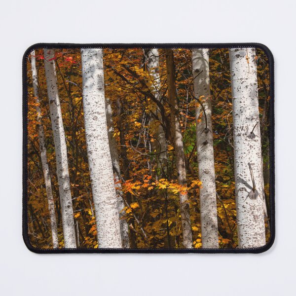 Item preview, The Colors of Autumn designed and sold by DawsonImages.
