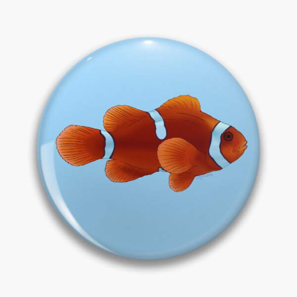 Item preview, Maroon Clownfish designed and sold by Copperbora.