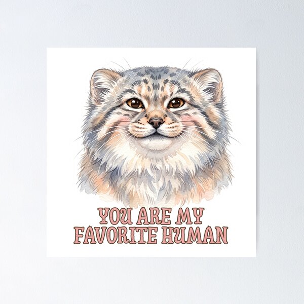 Item preview, You Are My Favorite Human | Cute Pallas Cat (Manul) Love Design designed and sold by HelgaCraftery.