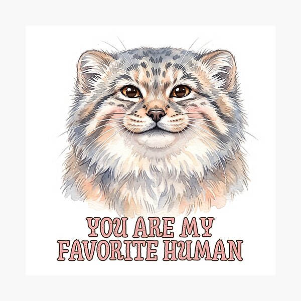 Item preview, You Are My Favorite Human | Cute Pallas Cat (Manul) Love Design designed and sold by HelgaCraftery.