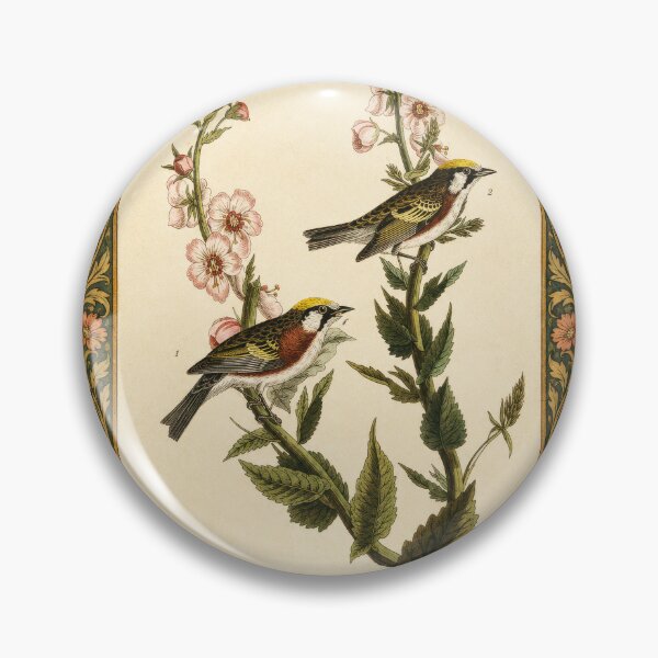 Item preview, Chestnut-Sided Warbler — Audubon Arts & Crafts Bird Print designed and sold by kornkobart.