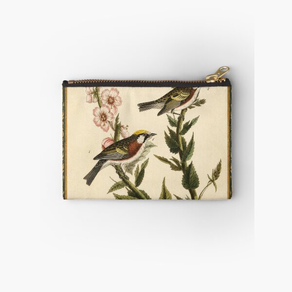 Item preview, Chestnut-Sided Warbler — Audubon Arts & Crafts Bird Print designed and sold by kornkobart.