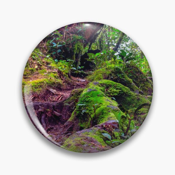 Item preview, Mossy Forest designed and sold by troianifabrizio.