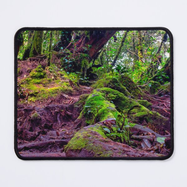 Item preview, Mossy Forest designed and sold by troianifabrizio.