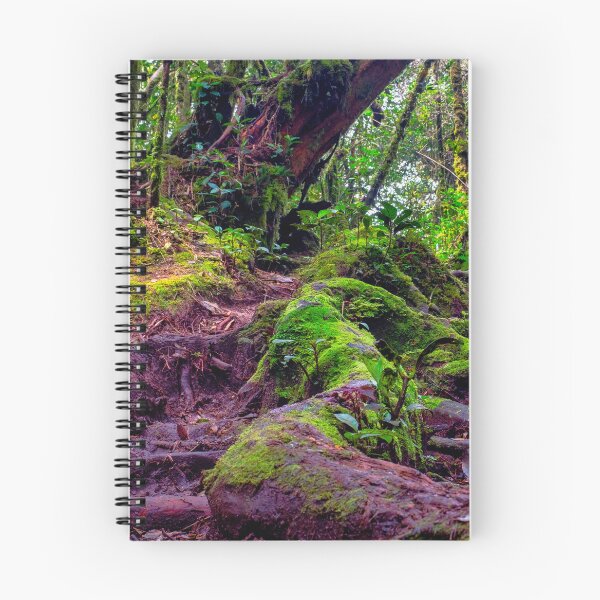 Item preview, Mossy Forest designed and sold by troianifabrizio.