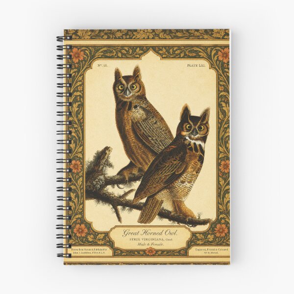 Item preview, Great Horned Owl — Audubon Arts & Crafts Bird Print designed and sold by kornkobart.