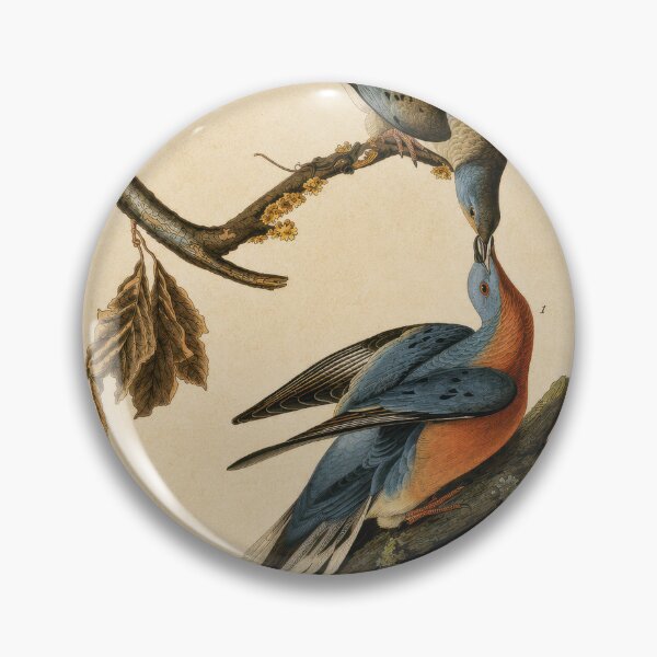 Item preview, Passenger Pigeon — Audubon Arts & Crafts Bird Print designed and sold by kornkobart.