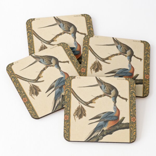 Item preview, Passenger Pigeon — Audubon Arts & Crafts Bird Print designed and sold by kornkobart.