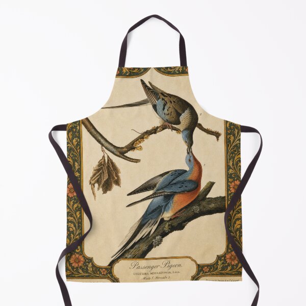 Item preview, Passenger Pigeon — Audubon Arts & Crafts Bird Print designed and sold by kornkobart.
