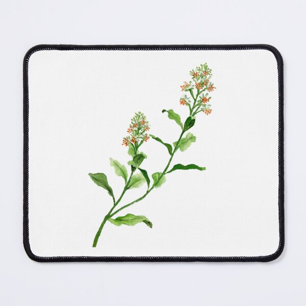 Item preview, June 12th birthday flower Reseda odorata designed and sold by birthflower.