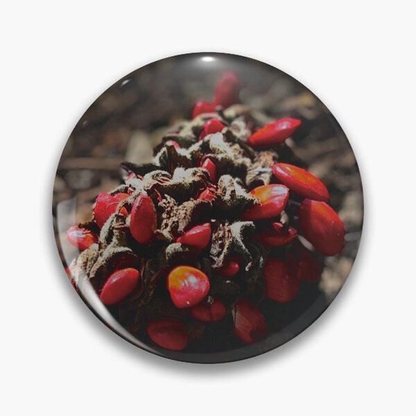Item preview, Fallen Magnolia cone designed and sold by Baulmonart.