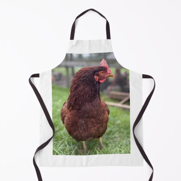 Item preview, Friday designed and sold by Common Graces.