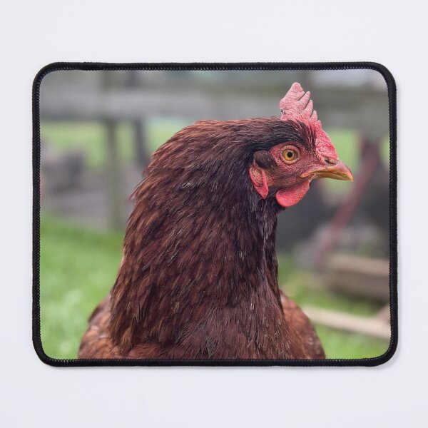 Item preview, Friday designed and sold by Common Graces.