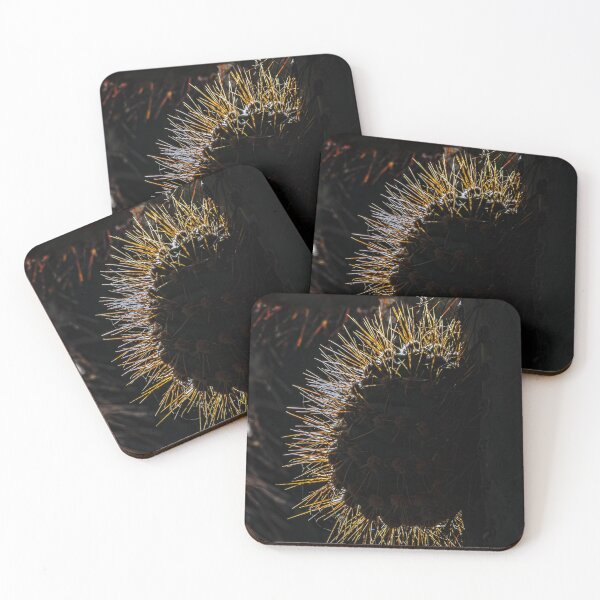 Item preview, Golden Cactus Spines Against the Light designed and sold by Keltoi-art.