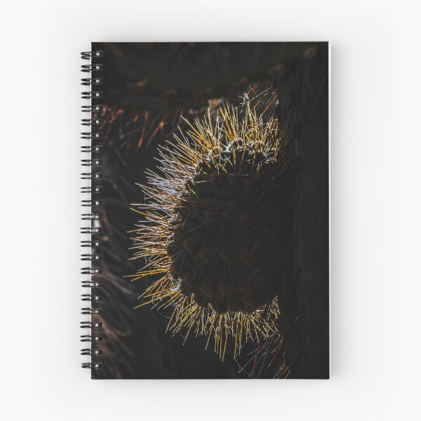 Item preview, Golden Cactus Spines Against the Light designed and sold by Keltoi-art.