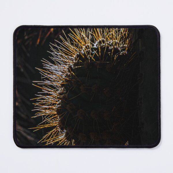 Item preview, Golden Cactus Spines Against the Light designed and sold by Keltoi-art.