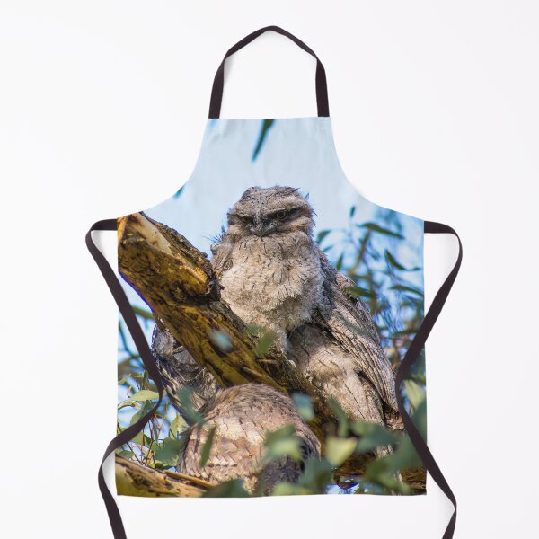 Item preview, Tawny frogmouth chick designed and sold by jdrphotos.