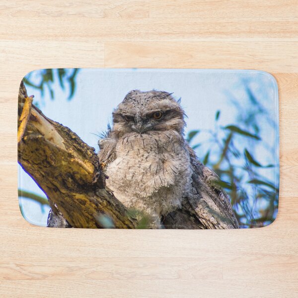 Item preview, Tawny frogmouth chick designed and sold by jdrphotos.
