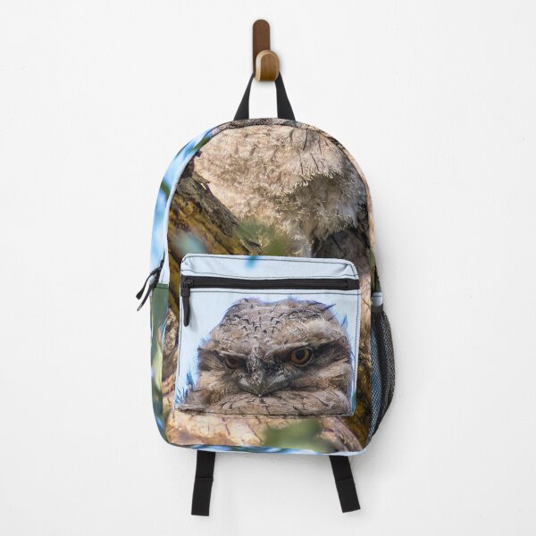 Item preview, Tawny frogmouth chick designed and sold by jdrphotos.