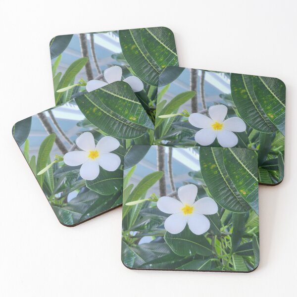 Item preview, Plumeria designed and sold by GuidedToHeal.