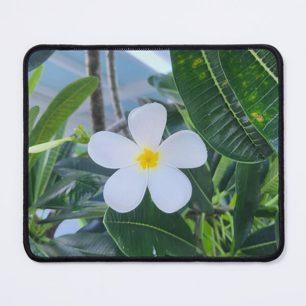Item preview, Plumeria designed and sold by GuidedToHeal.