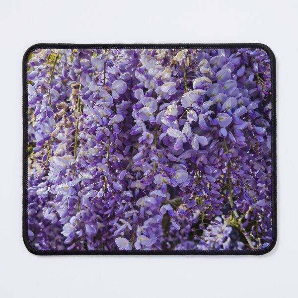 Item preview, Wisteria in Royal Garden 1 designed and sold by nastiaart.