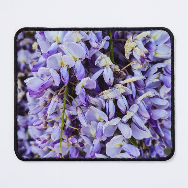Item preview, Wisteria in Royal Garden 3 designed and sold by nastiaart.
