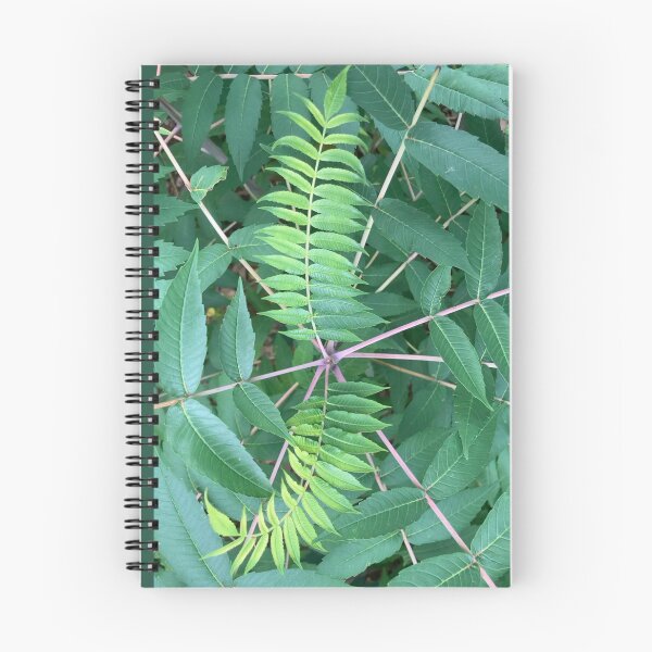 Item preview, Sumac  designed and sold by Amanda1775.