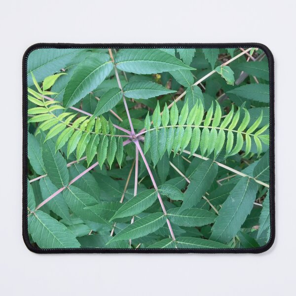 Item preview, Sumac designed and sold by Amanda1775.