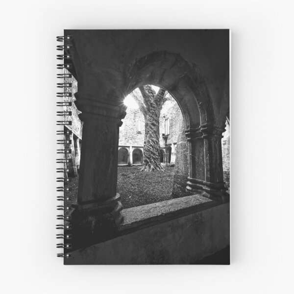 Item preview, Muckross Abbey 3 designed and sold by Alex Preiss.