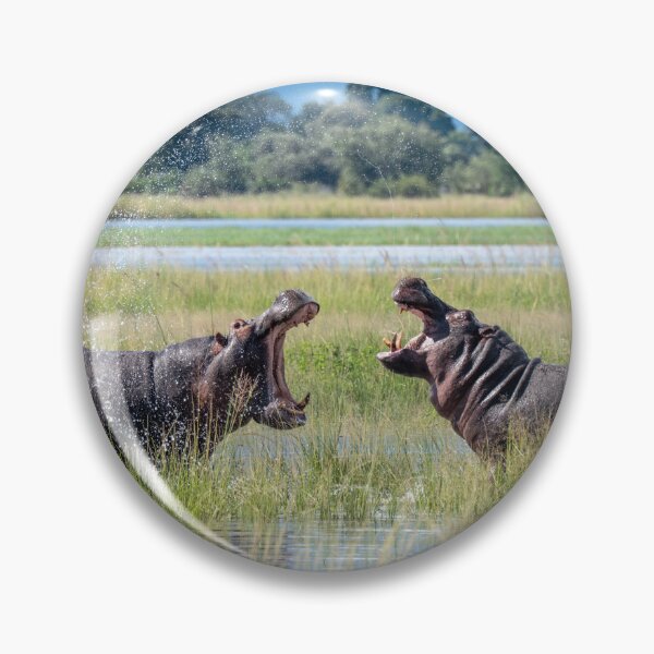 Item preview, Battling Hippos, Chobe River, Botswana designed and sold by Andrew Goodall.