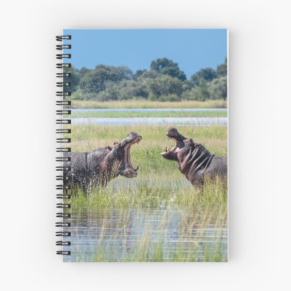 Item preview, Battling Hippos, Chobe River, Botswana designed and sold by Andrew Goodall.